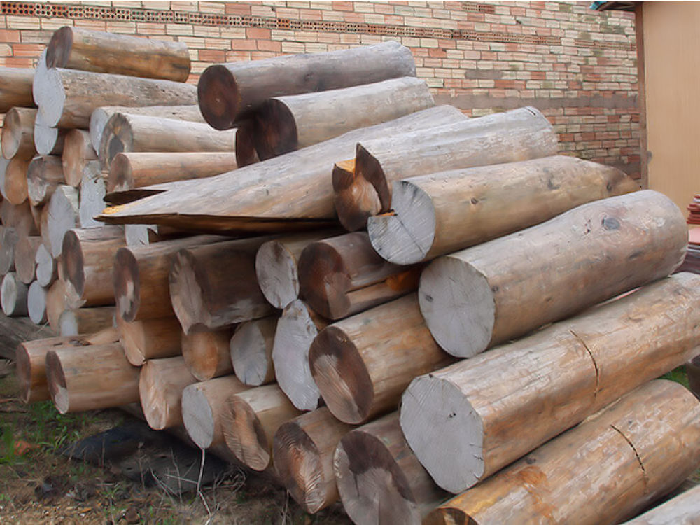 troncos-madera